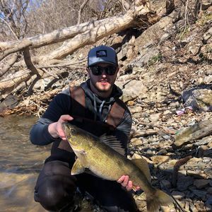 Meet your Posher, Brandon